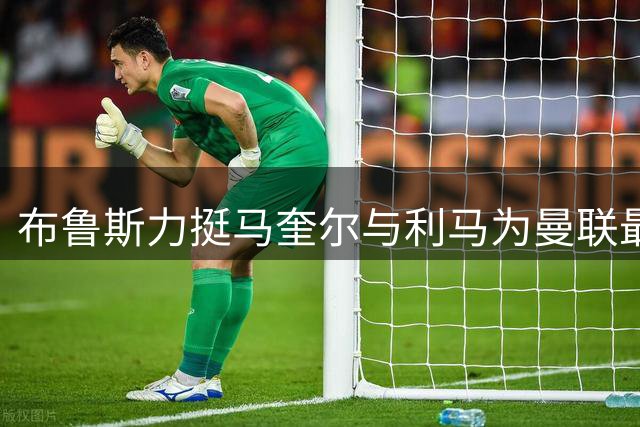 布鲁斯力挺马奎尔与利马为曼联最佳双中卫